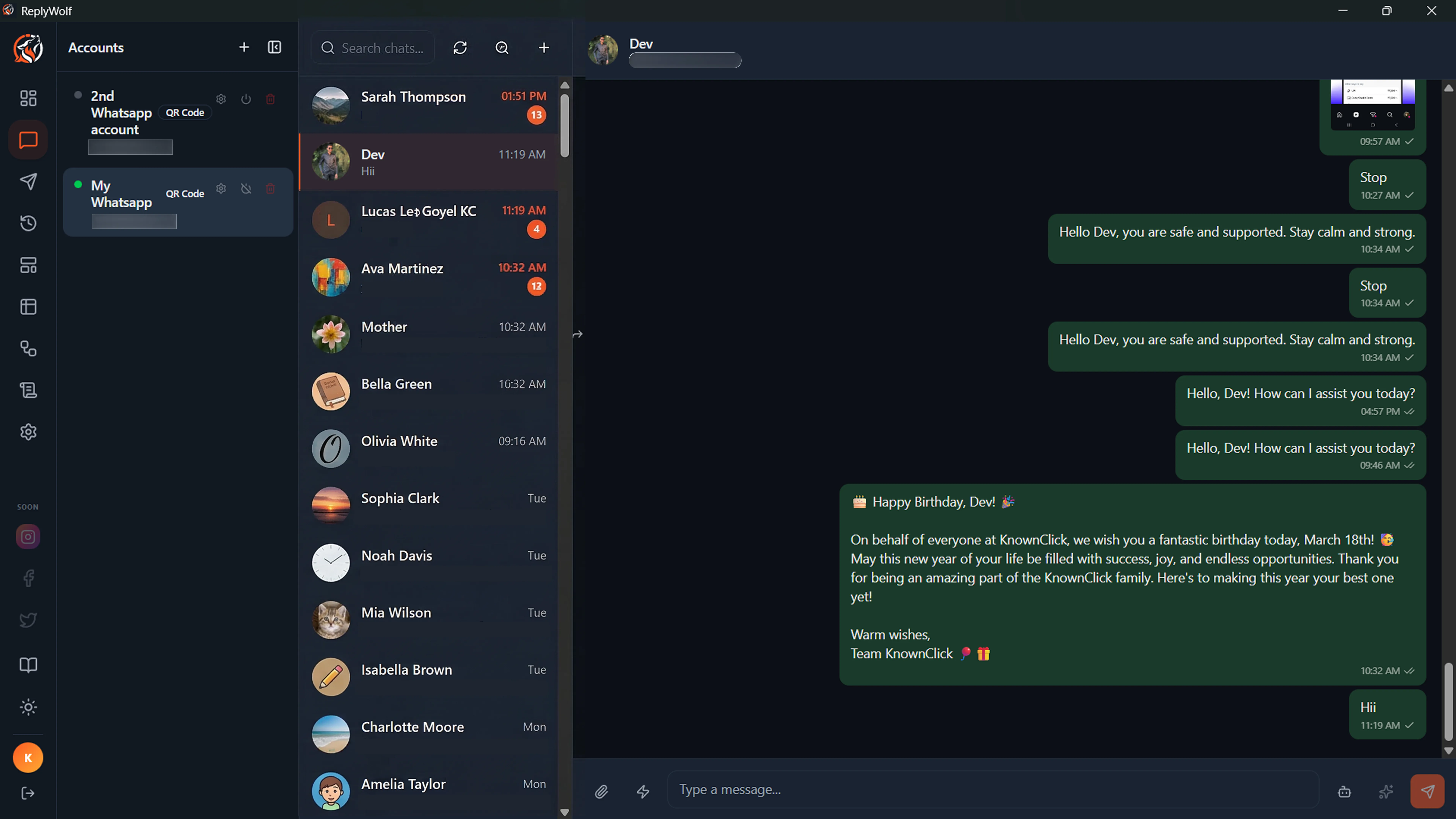 ReplyWolf Chat Interface